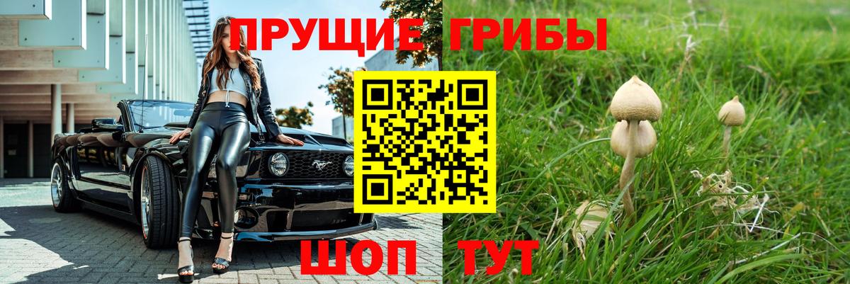Псилоцибиновые грибы мухоморы  Вход с VPN  Учалы 